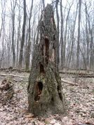 Места силы. Вантит — Лэй-линия северной окраины Воронежа Места силы. Вантит — Лэй-линия северной окраины Воронежа